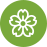 passion flower icon