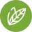 sage extract icon